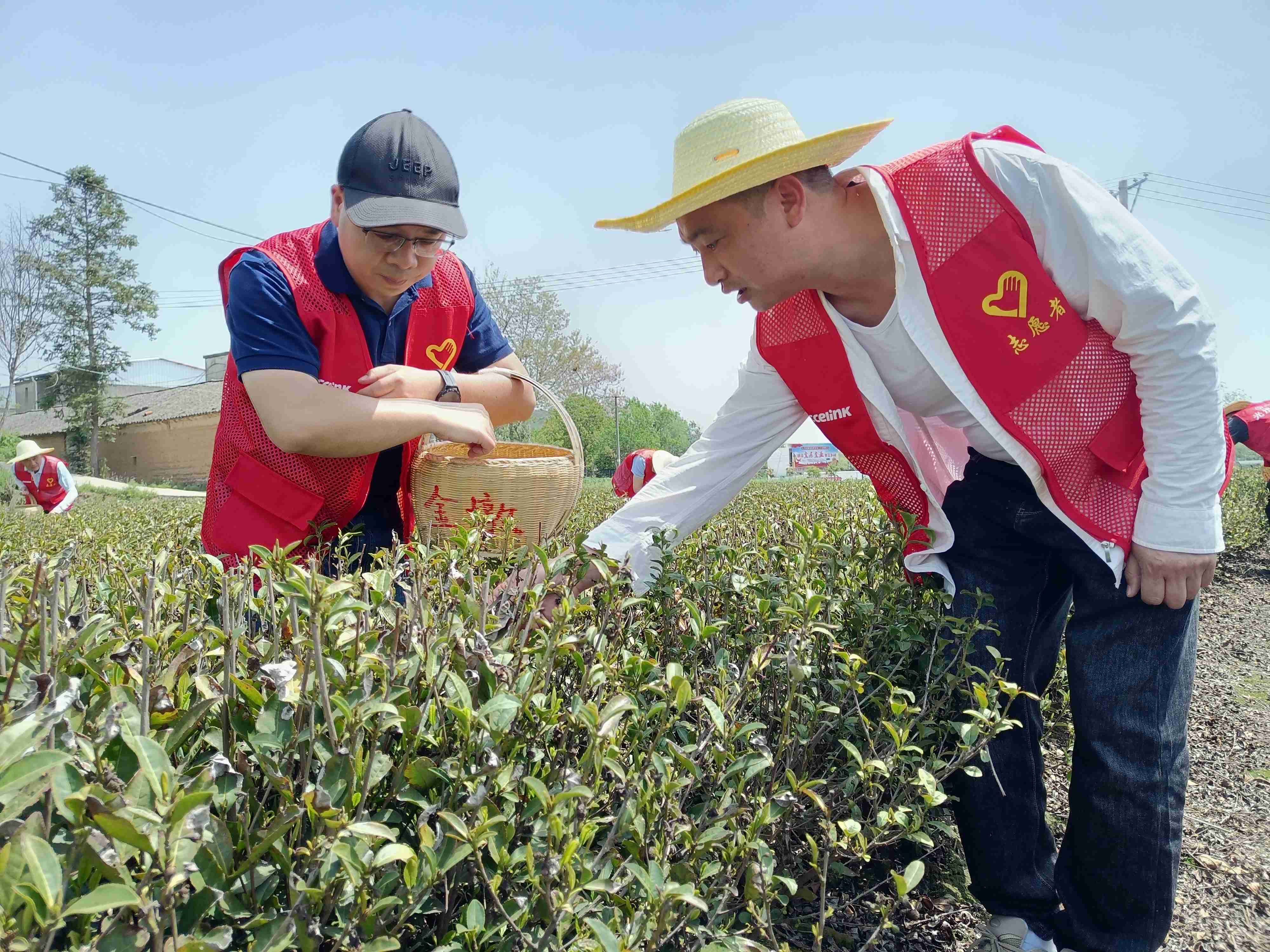 鸿运国际·(中国)首页入口-鸿运hv官网欢迎您